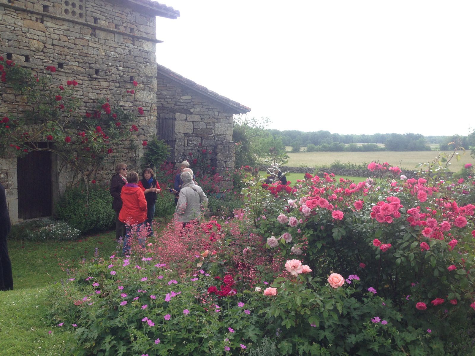 Le Jardin des Roses - Tarn et Garonne