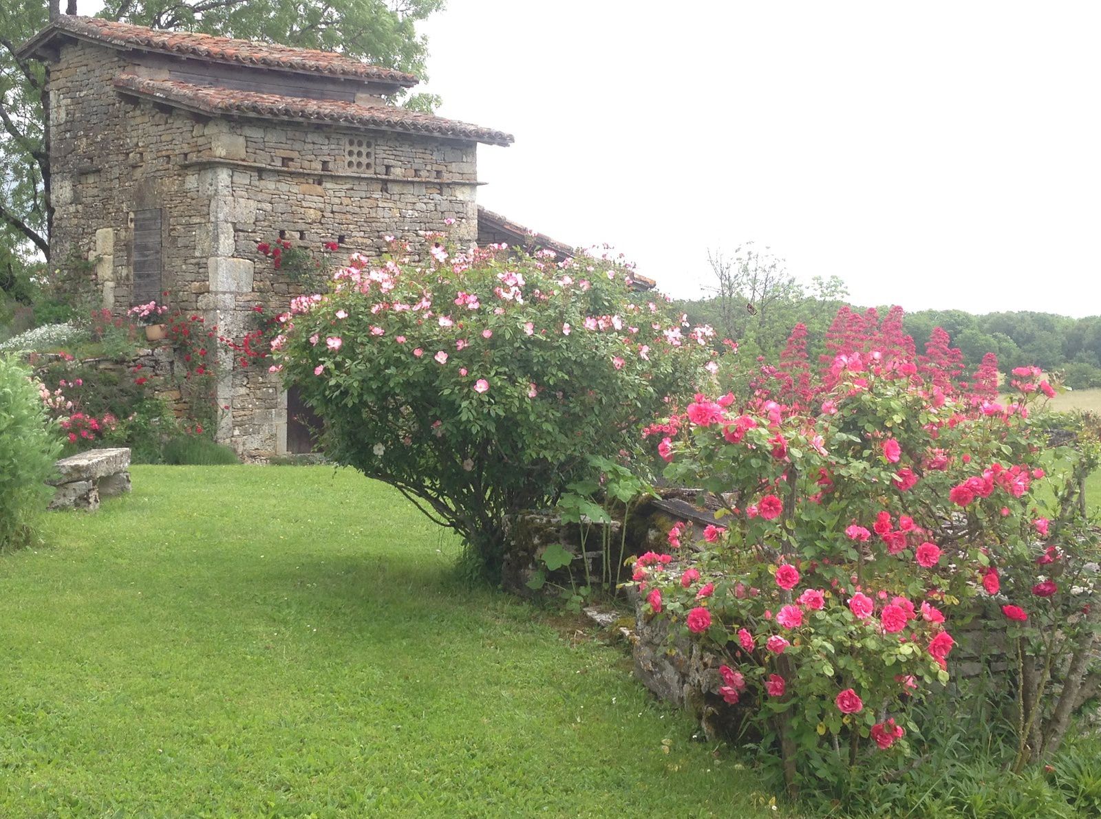 Le Jardin des Roses - Tarn et Garonne - JARDINS MERVEILLEUX