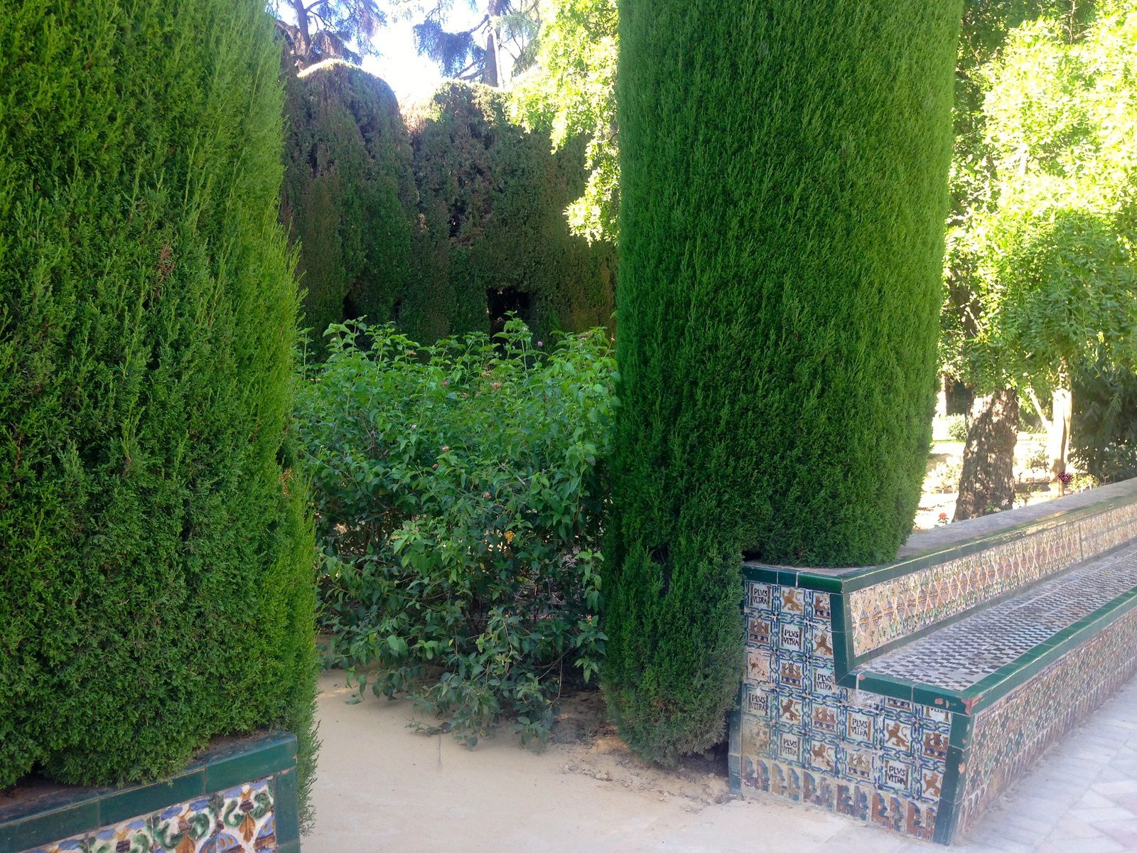 Les jardins de l'Alcazar de Séville - Andalousie   