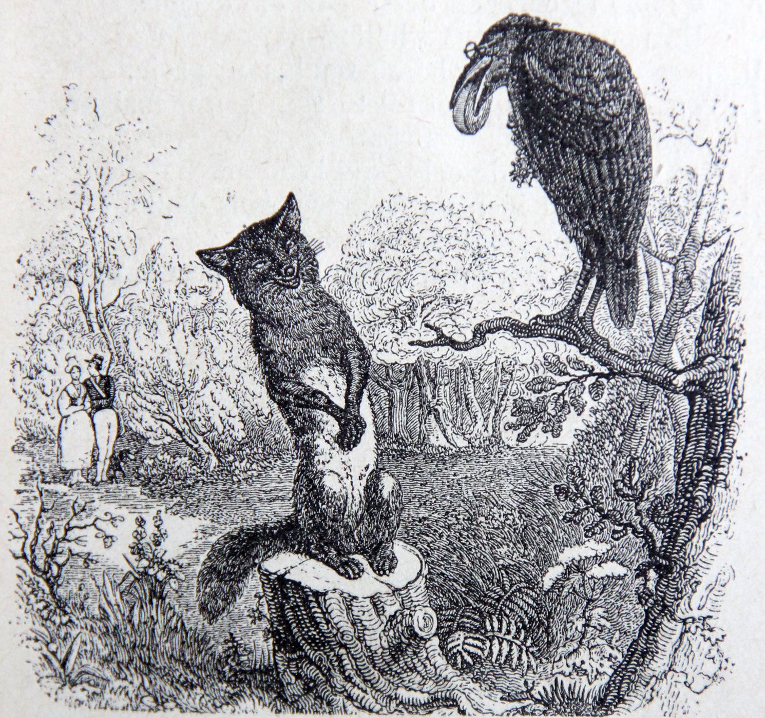 Comment Dessiner Un Corbeau Avec Un Fromage Le corbeau et le renard à la manière de Raymond Queneau - i-voix