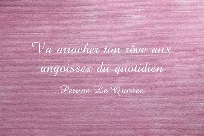 Fulguration - Perrine Le Querrec