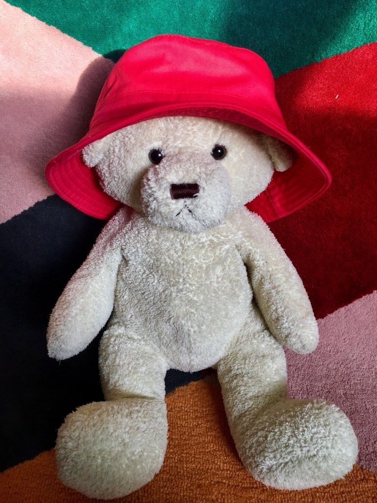 Peluches des lycéen.nes i-voix saison 10 : objets transitionnels littéraires