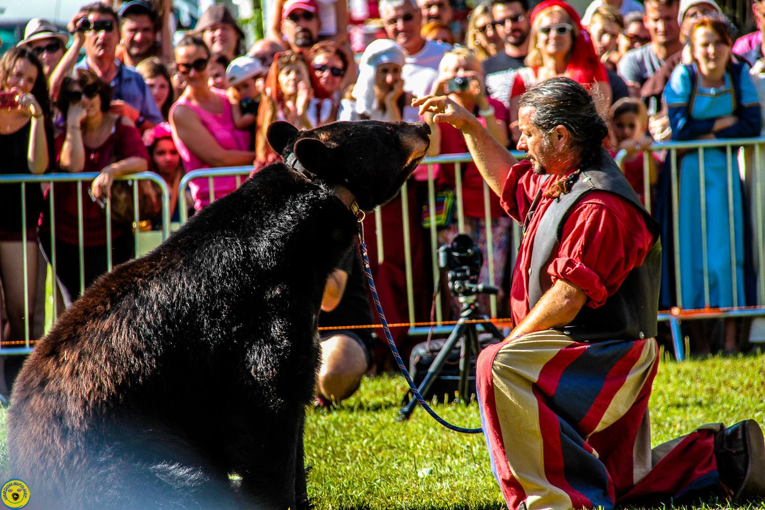 Colmars les Alpes : Fête médiévale sous affluence.