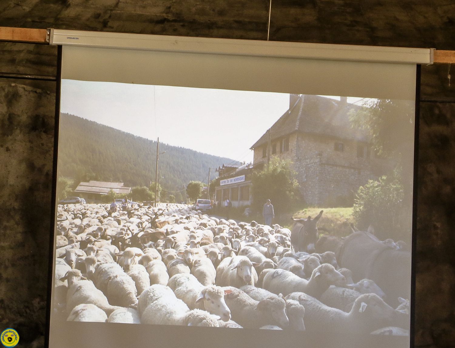Thorame Haute  :Conférence  maladie contagieuse du mouton