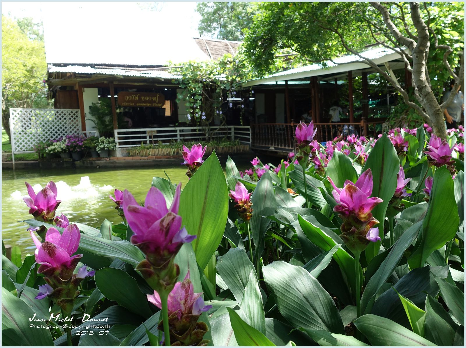 &quot;Wat Luang Phor Toh&quot; suite des photos et le jardin attenant