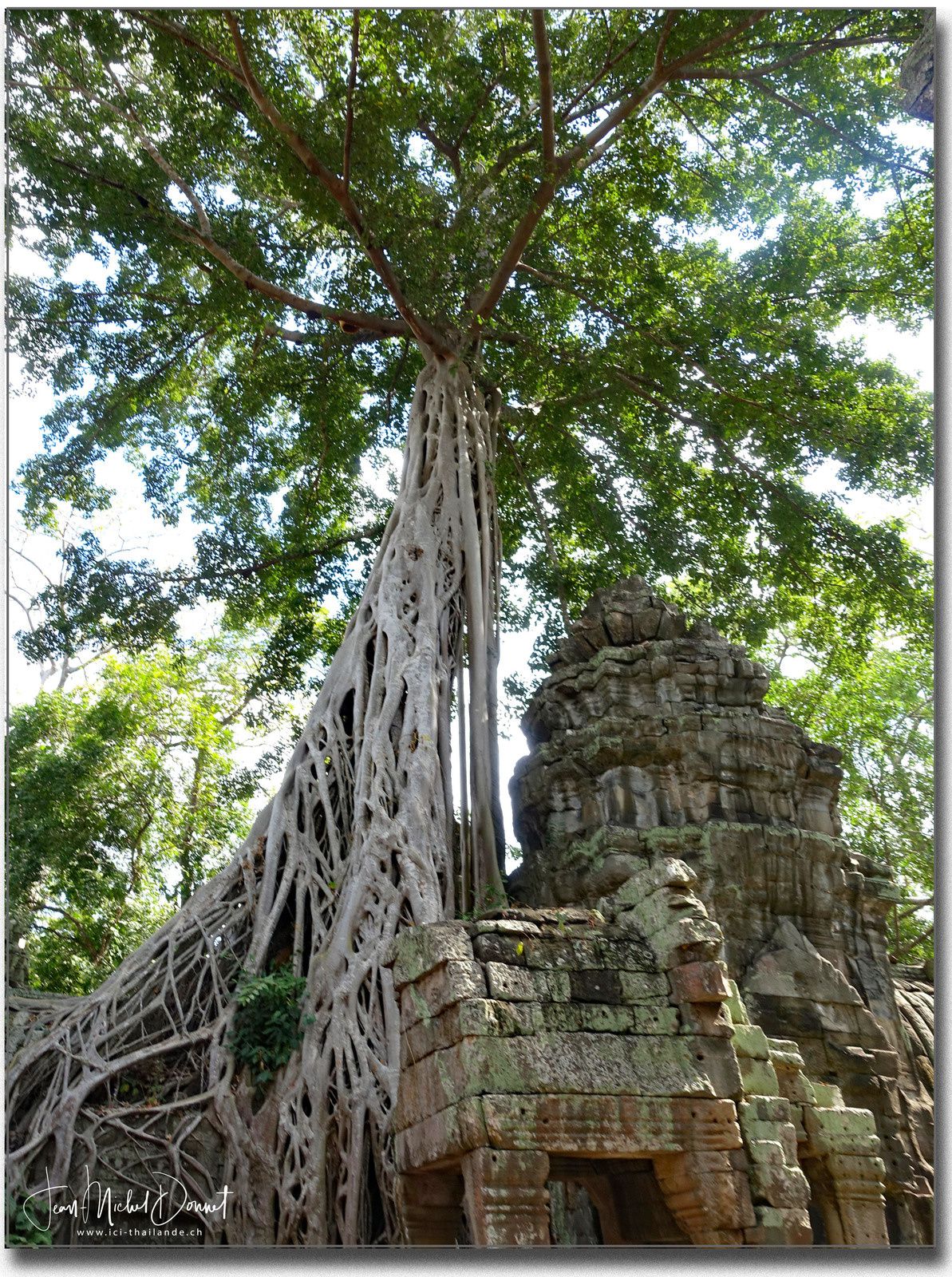 Ta Prohm (Cambodge, sites d'Angkor)