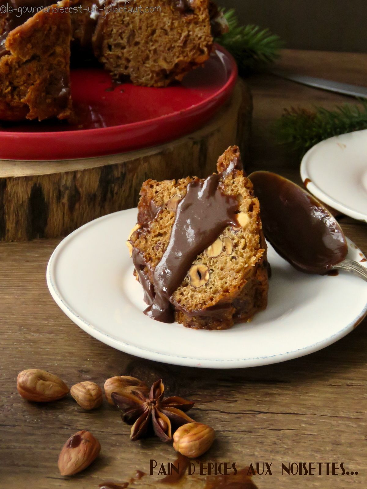 Recette pain d'épices à la poudre de noisettes - Marie Claire