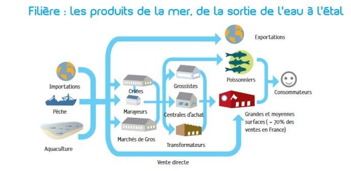 filière: les produits de la mer, de la sortie de l'eau au consommateur