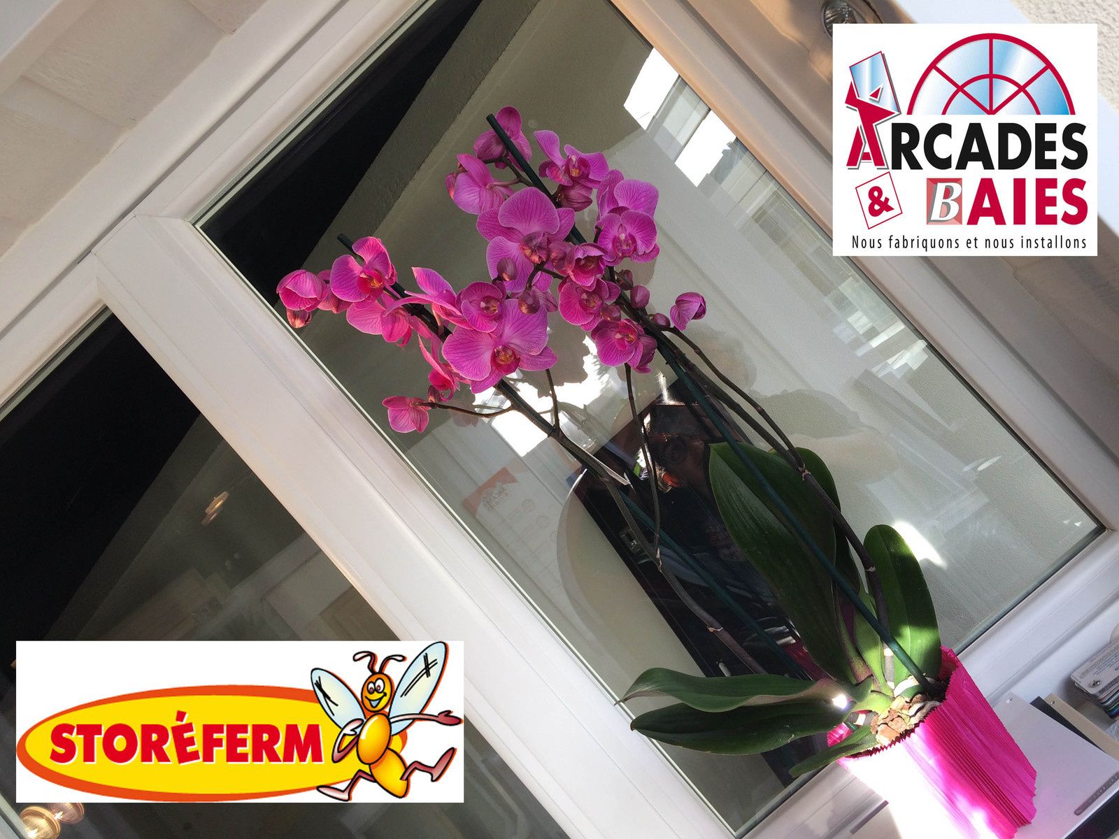 sarthe-lemans - fenetres-pvc-alu-aluminium- expert-professionnel-renovation-maison-habitat-porte-porte fenetre-fenêtre-