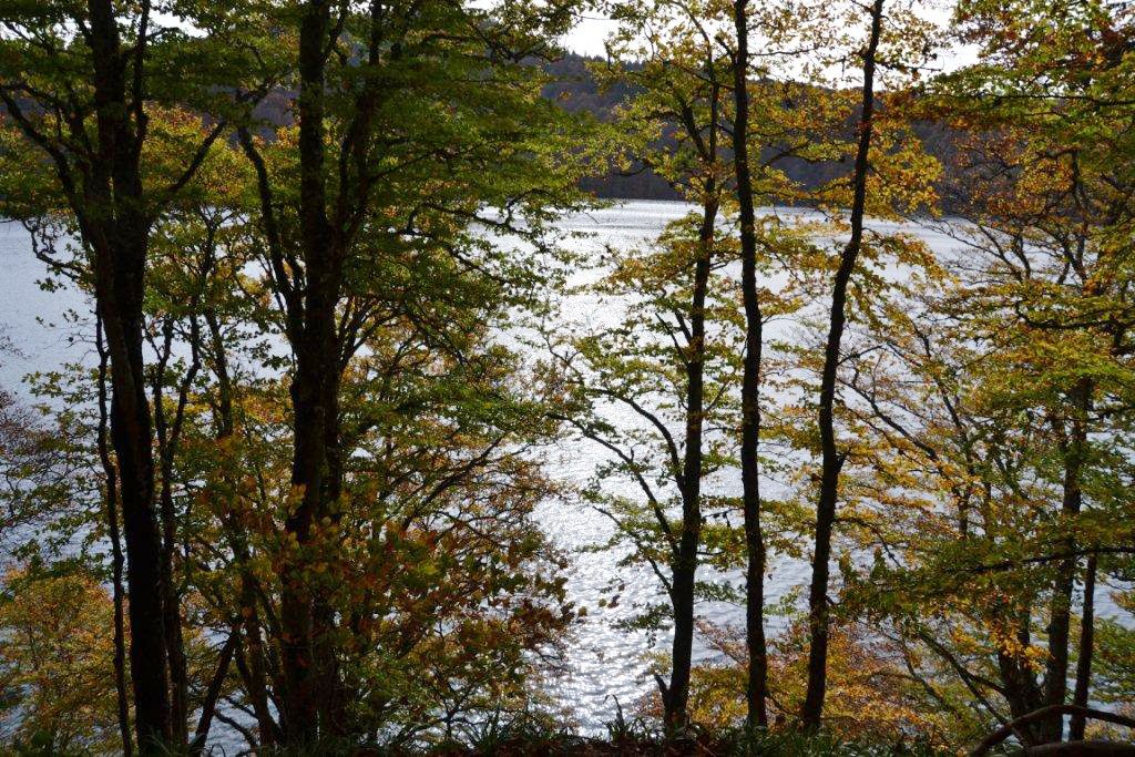 Bel automne au lac Pavin