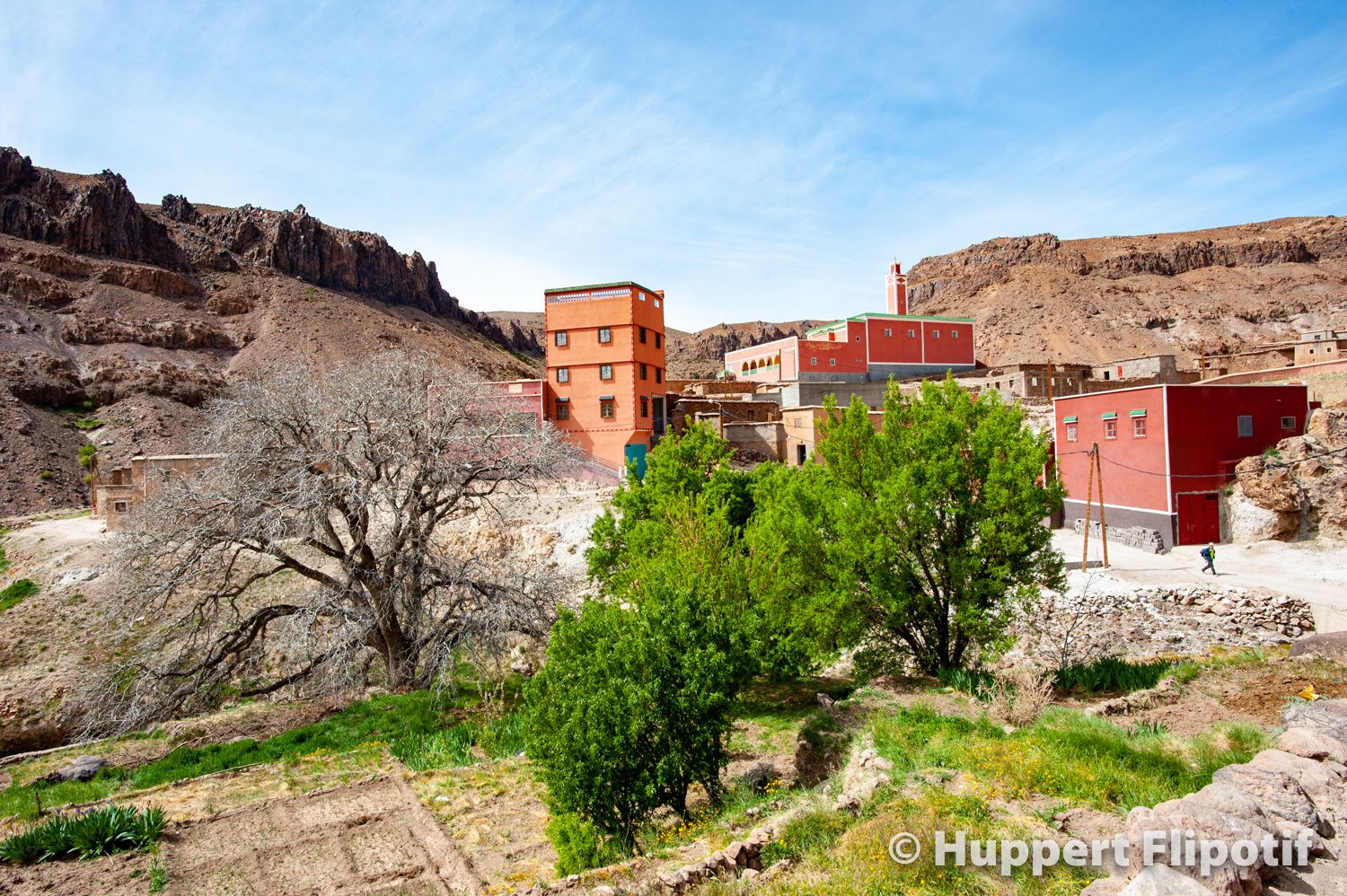 village Ait Tiggra randonnée Massif Djebel Siroua safran