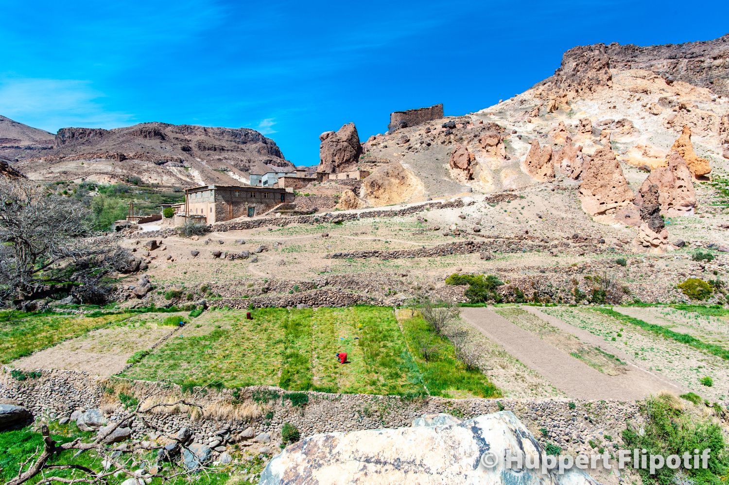 culture safran village Ait Tiggra