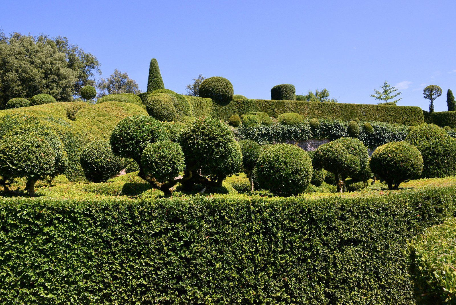 Les jardins suspendus de Marqueyssac dans la vallée de la Dordogne.