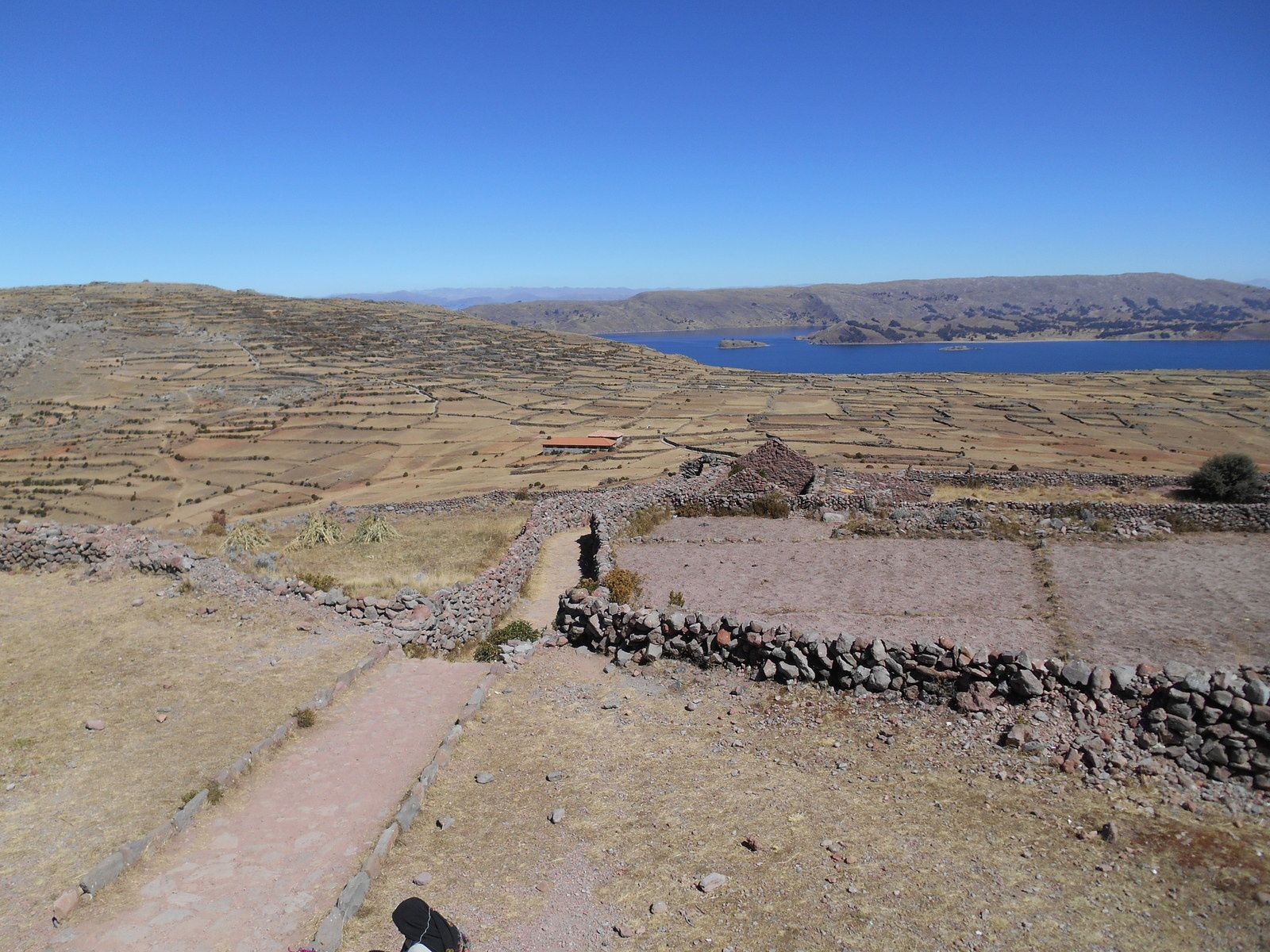 Jour 6: Les îles Amantani et Uros ( Lac Titicaca ) -1ère partie-