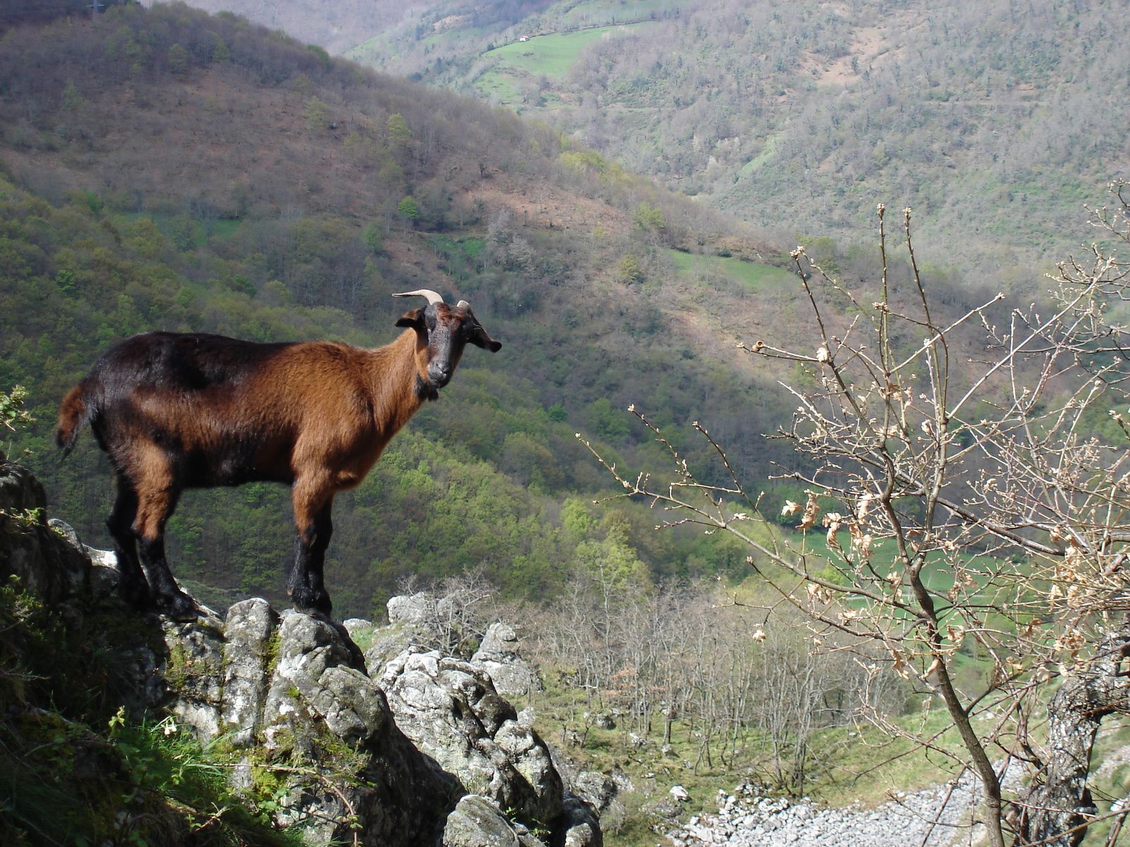 Province des Asturies et Cantabrie (Espagne) - 2 -