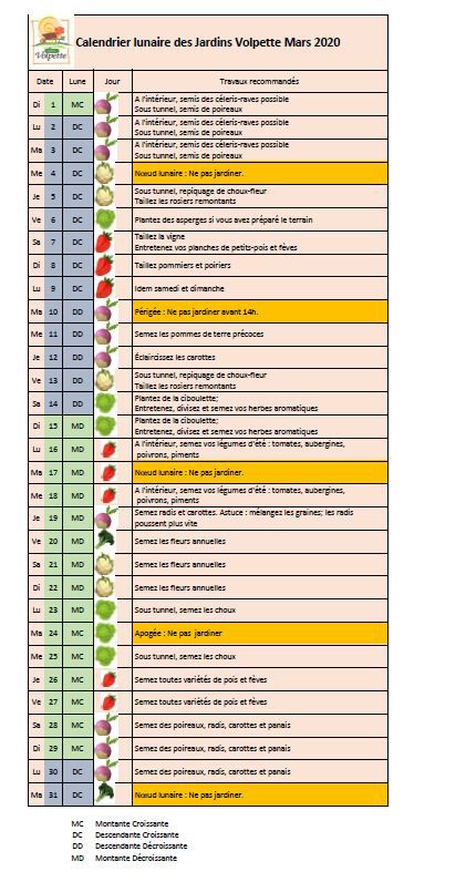 Jardiner avec la Lune en mars 2024 : calendrier