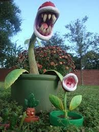 plante-pyranha