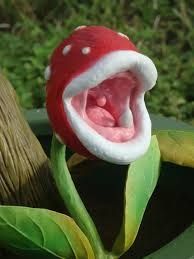 fleur-mario
