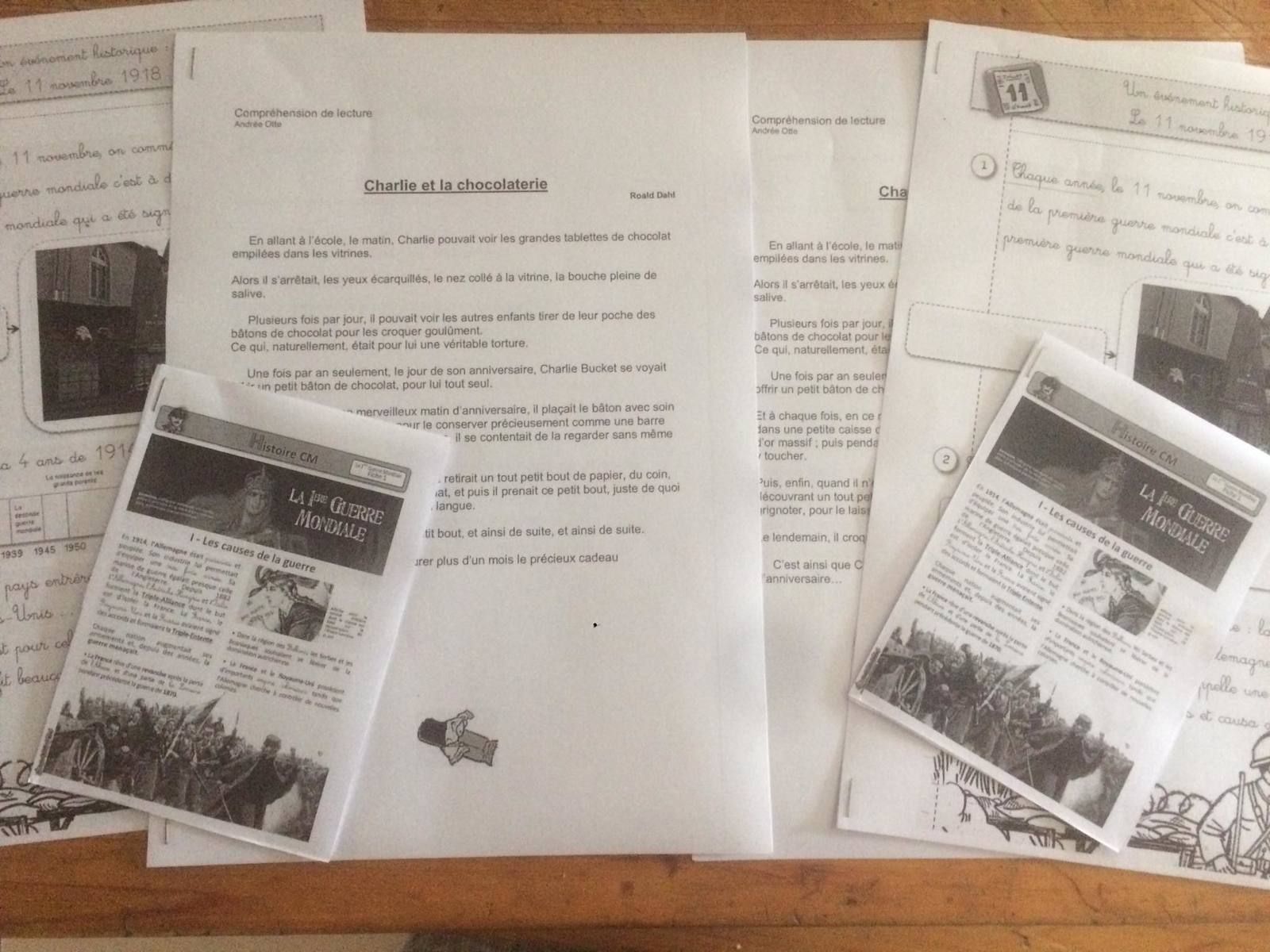 Programme ief 974 histoire