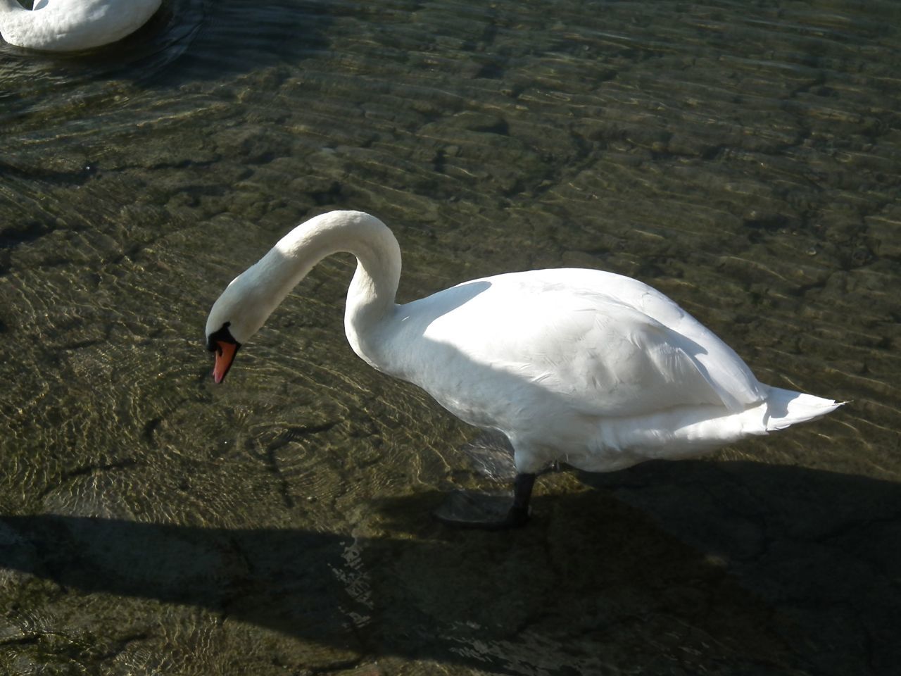 Premier samedi d'automne. Fin
