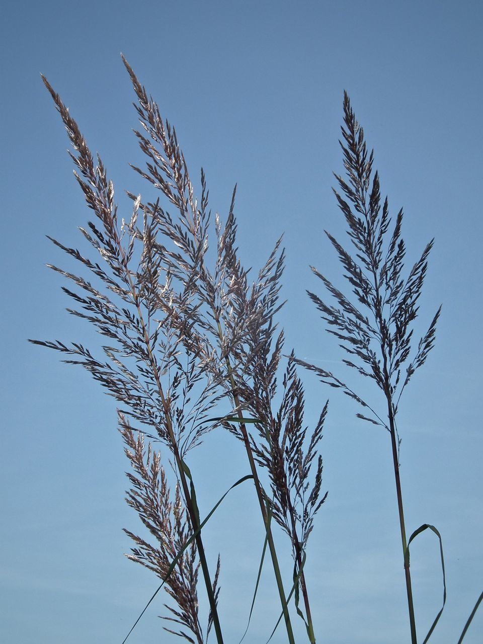Premier samedi d'automne. Fin