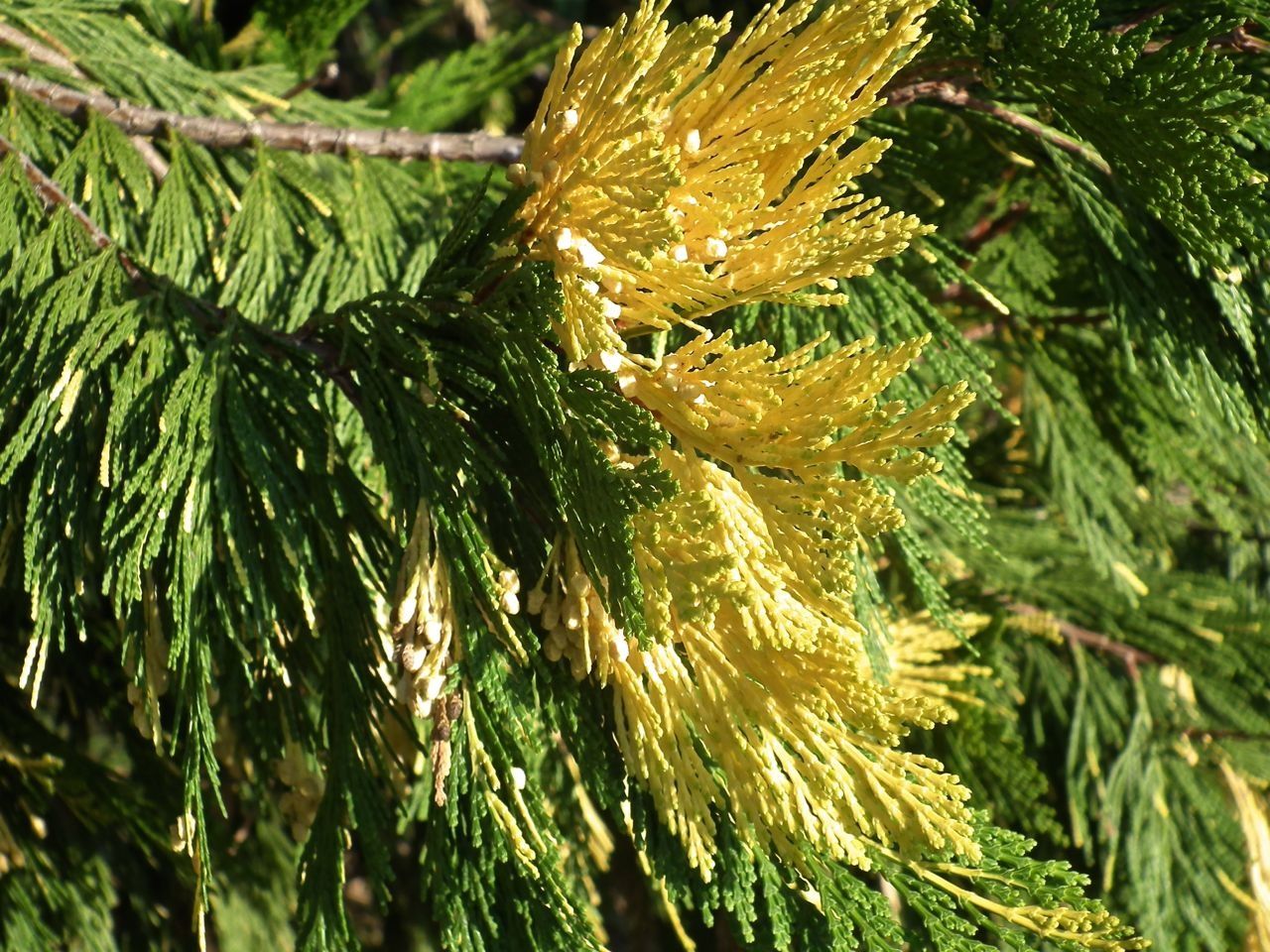 Premier samedi d'automne. Fin