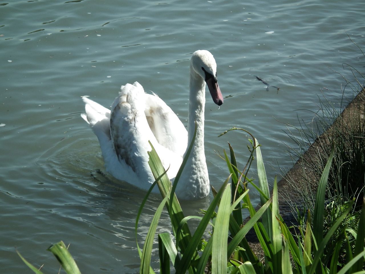 Voyage en confluence 7