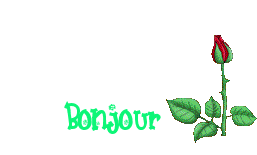 vous avez publié… 296