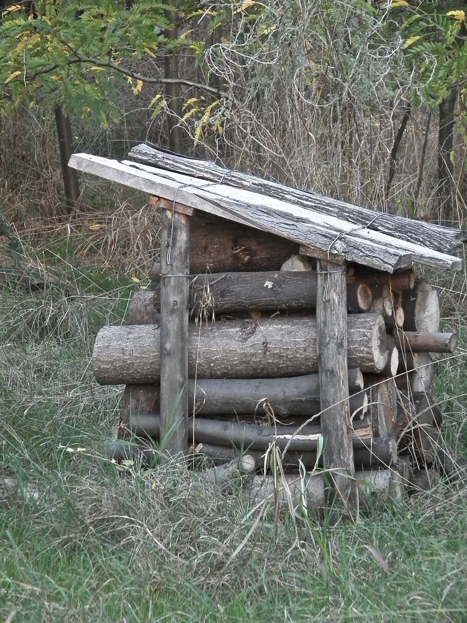 Vous avez publié... 404