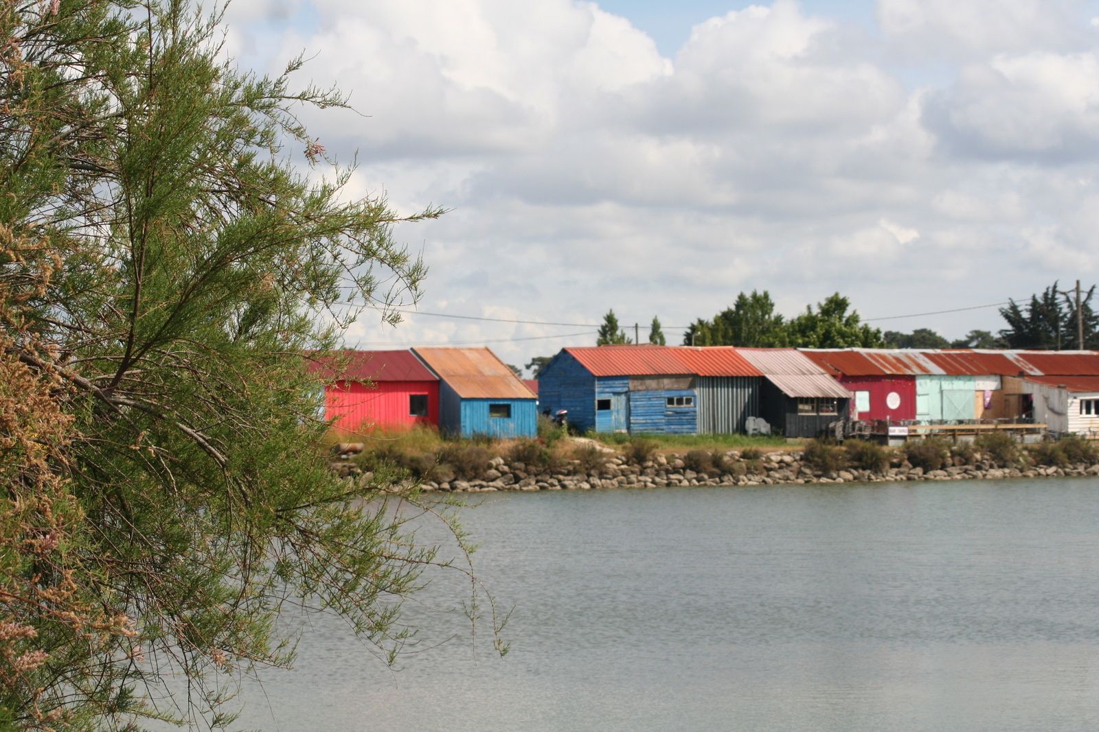 Entre ciel et mer... 5