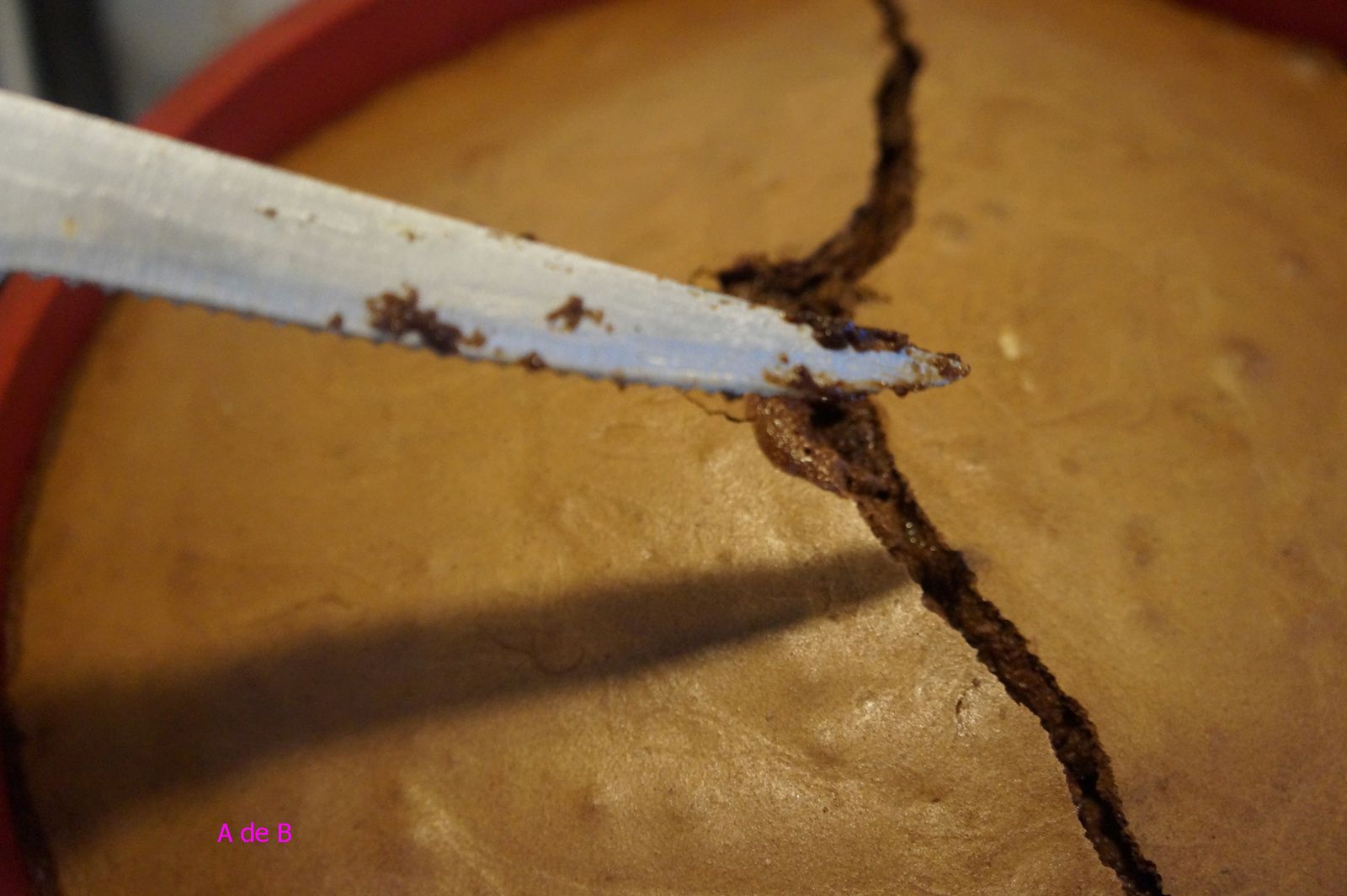 Gateau Au Chocolat Suzy De Pierre Herme Atelier De Brigitte Cuisine Recettes Partages Gateau Au Chocolat Suzy De Pierre Herme Atelier De Brigitte Cuisine Recettes Partages