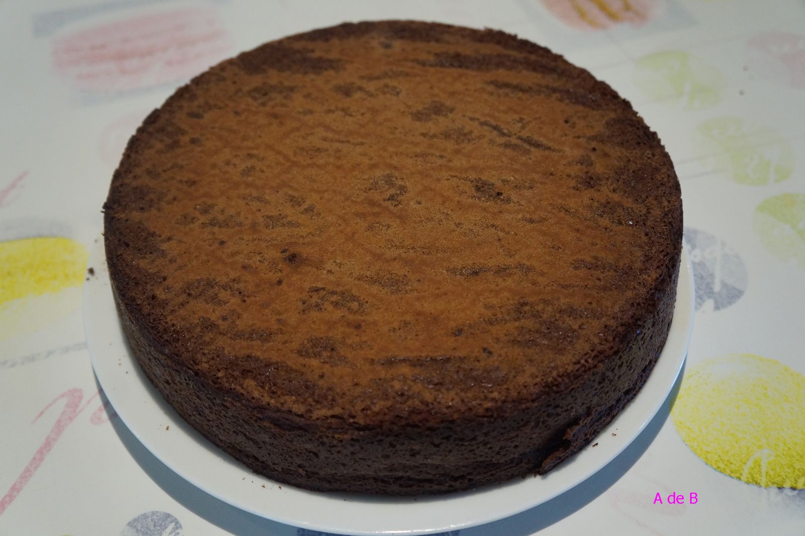 Gateau Au Chocolat Suzy De Pierre Herme Atelier De Brigitte Cuisine Recettes Partages Gateau Au Chocolat Suzy De Pierre Herme Atelier De Brigitte Cuisine Recettes Partages