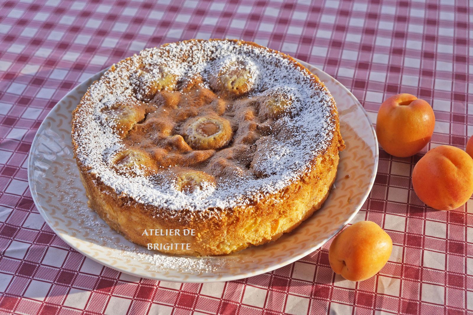 abricots, flan, laitage, dessert, goûter, recette rapide, recette facile
