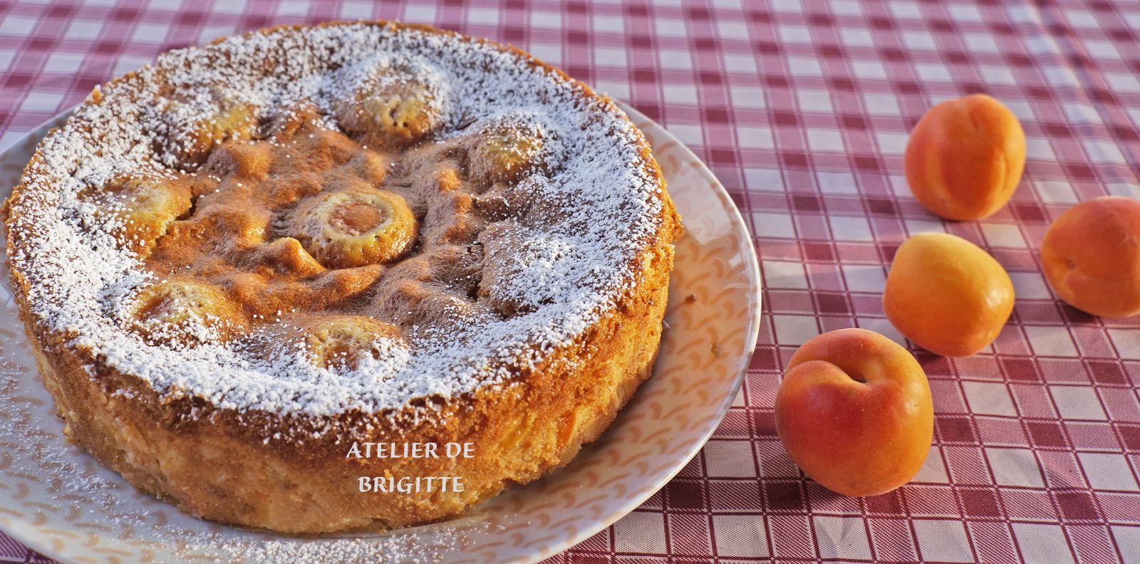 abricots, flan, laitage, dessert, goûter, recette rapide, recette facile