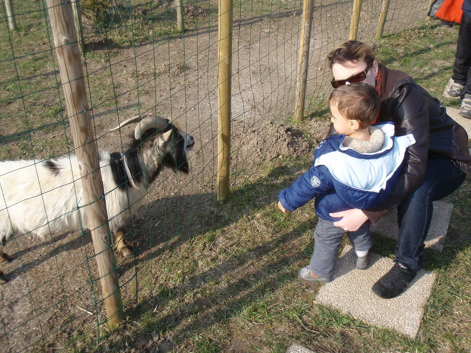 Parc Tropicaland