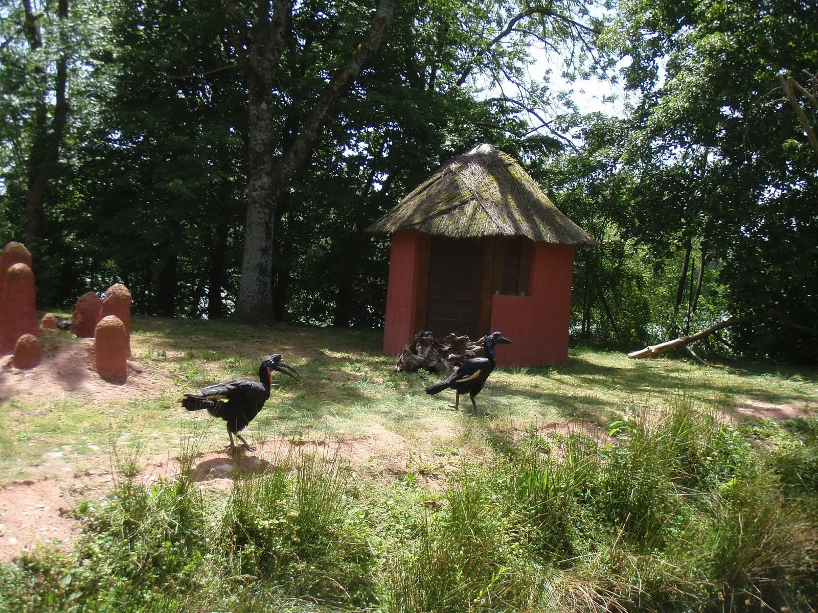 Parc des Oiseaux: Villard les Dombes