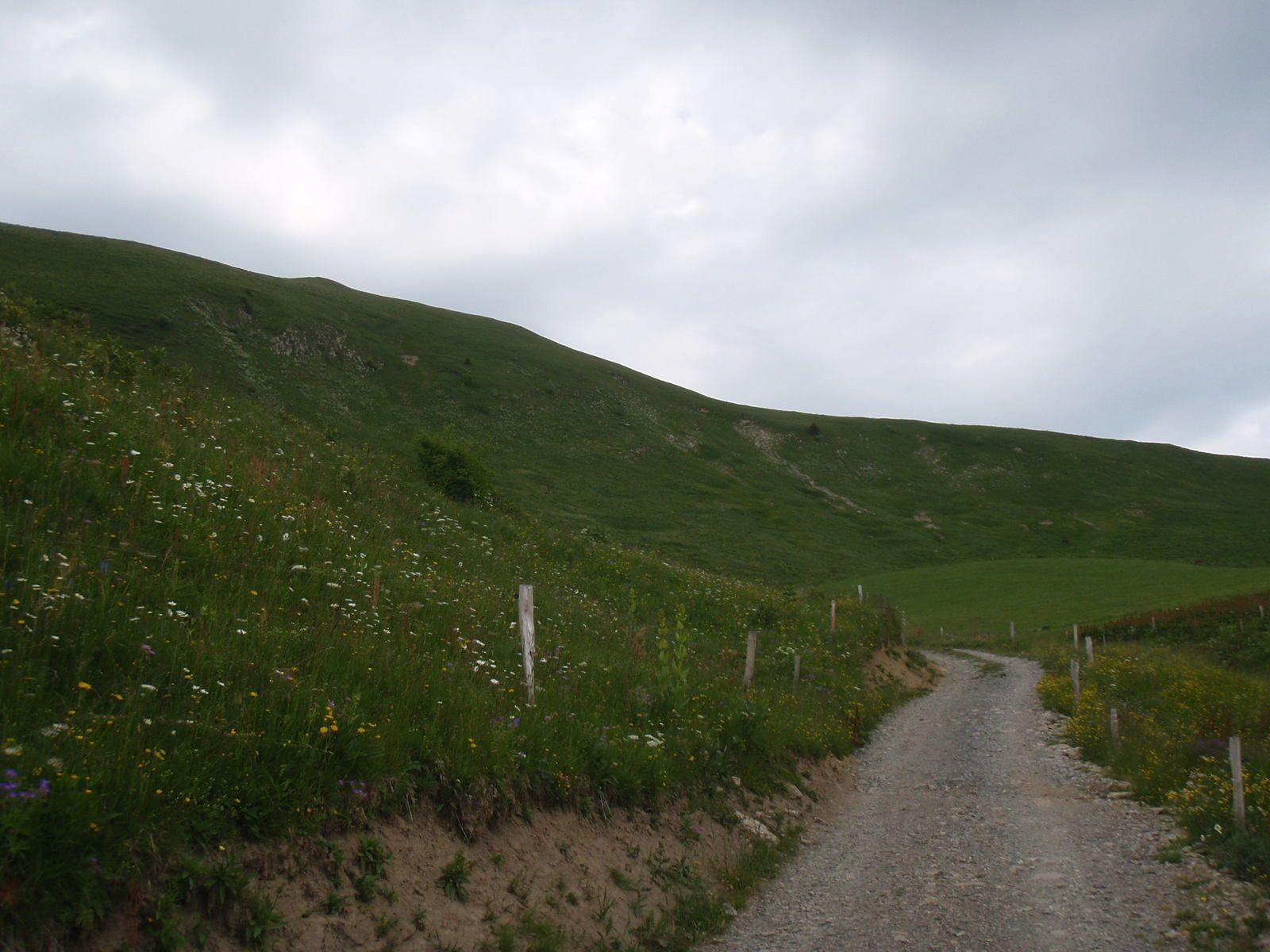 Montagne de Sulens: Depuis le Col de Plan bois
