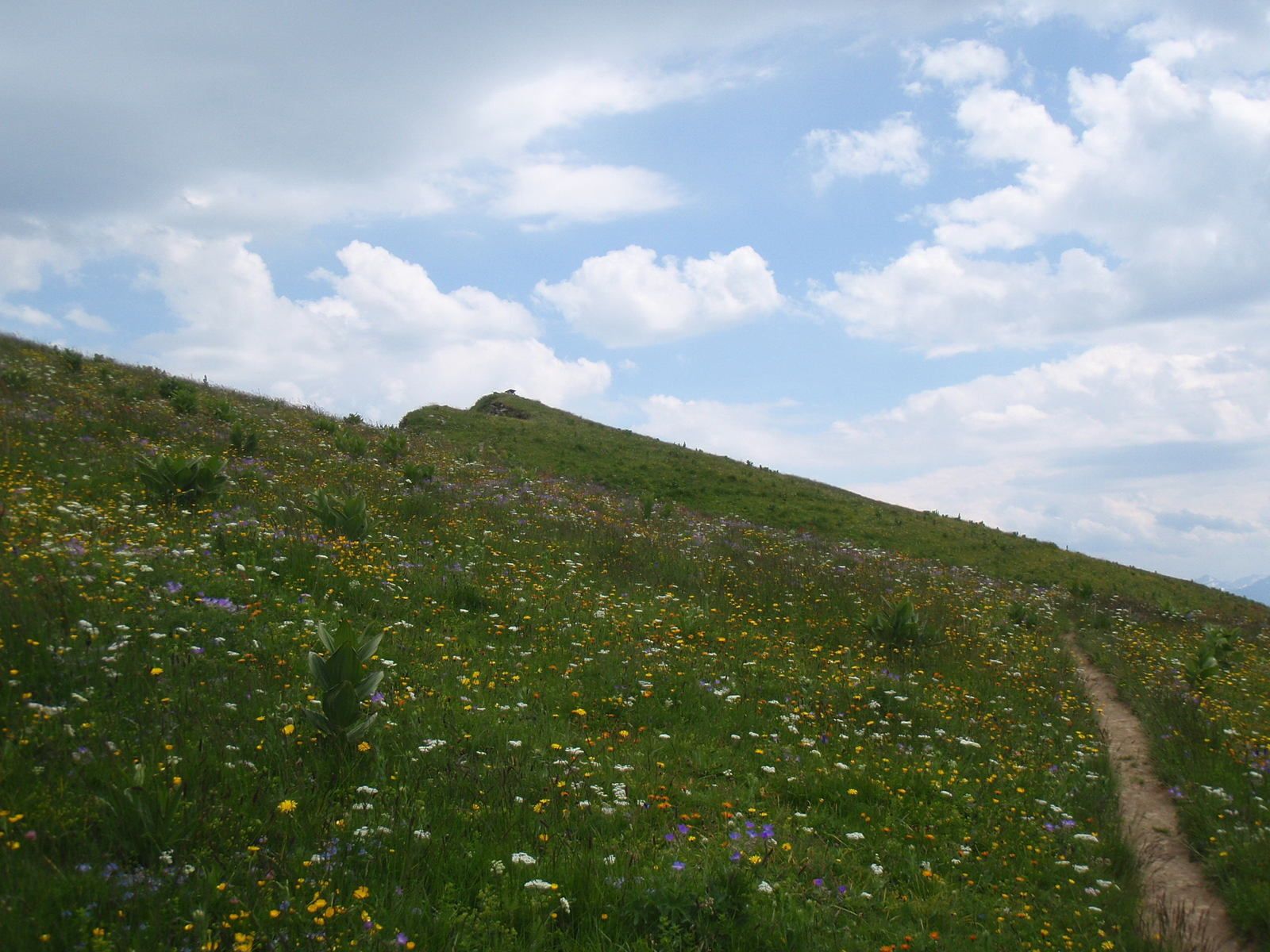 Montagne de Sulens: Depuis le Col de Plan bois