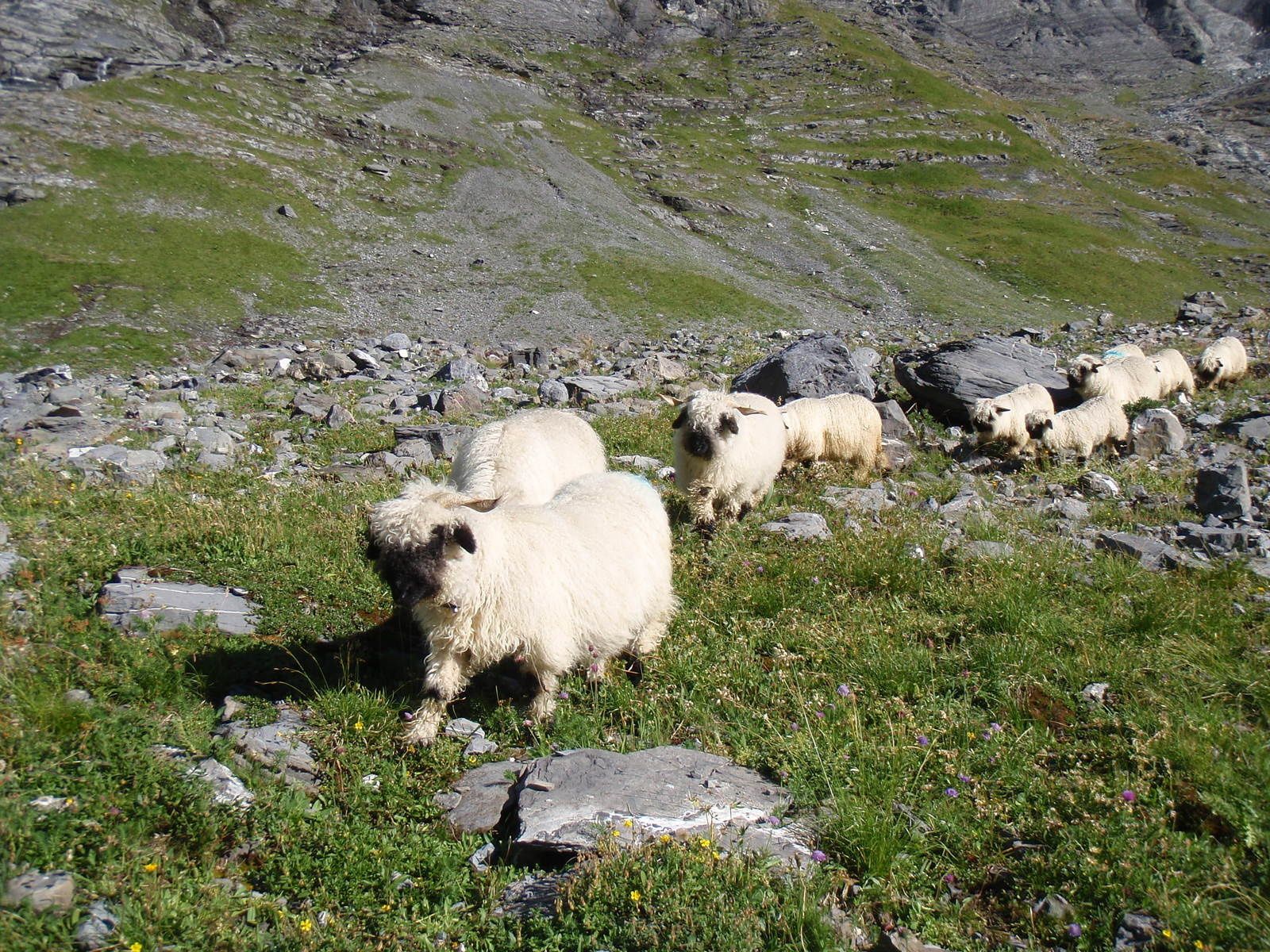 Mont Ruan / Grand Ruan: Depuis Emosson (1/2)