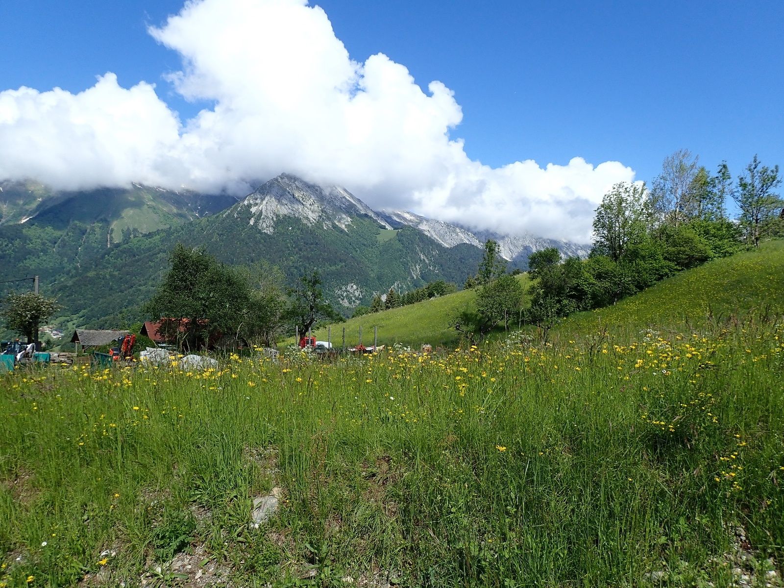 Montagne de Sulens: Boucle le Mont&gt;&gt;&gt;Plans Bois