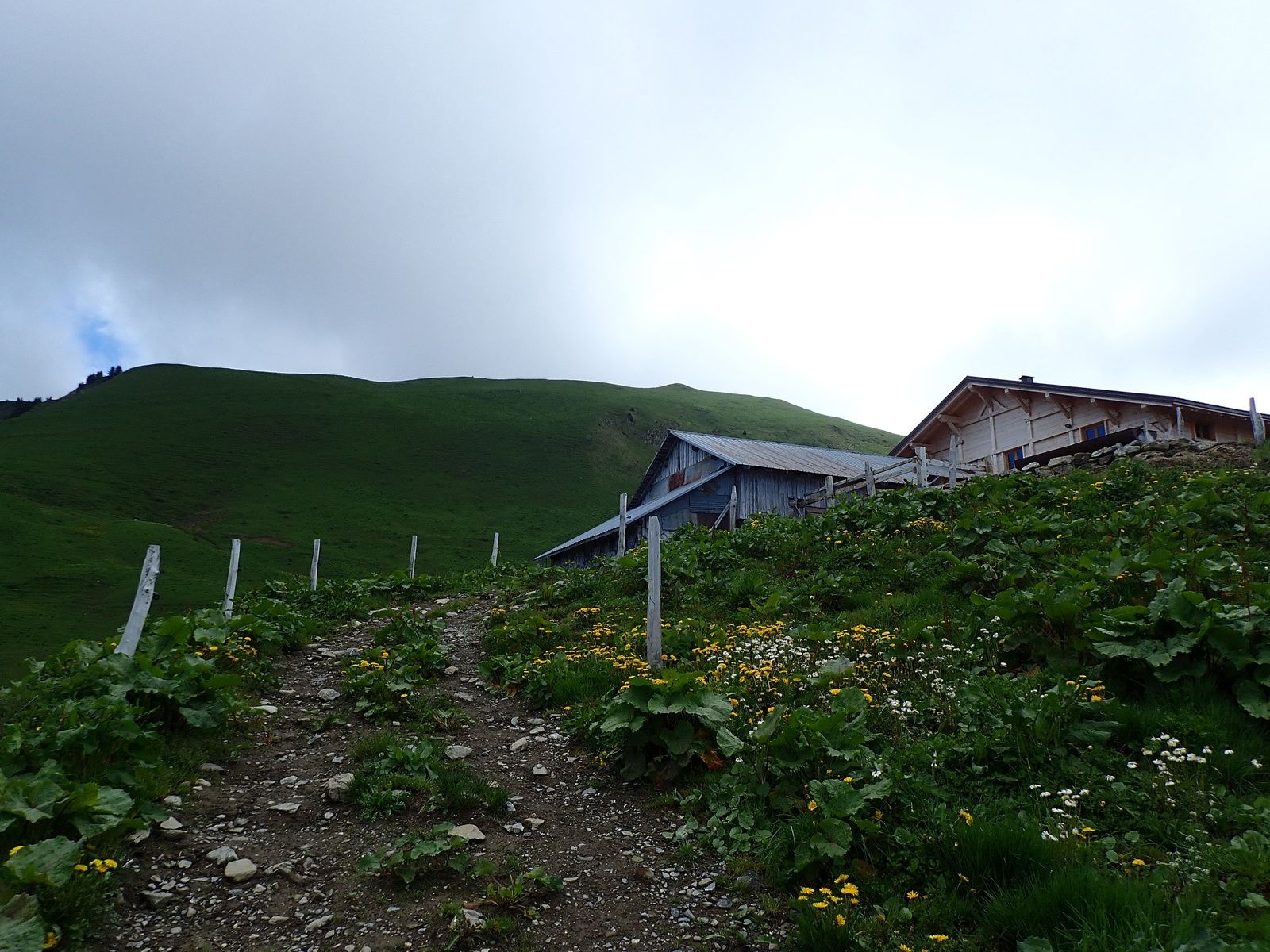 Montagne de Sulens: Boucle le Mont&gt;&gt;&gt;Plans Bois