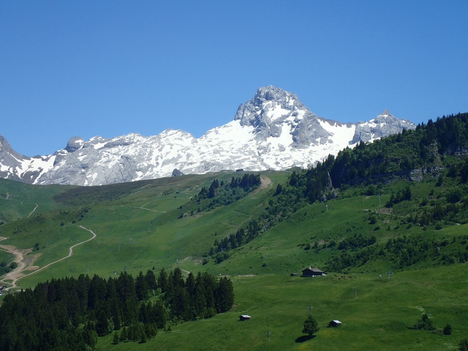 Aiguille Verte du chinaillon: Depuis Samance