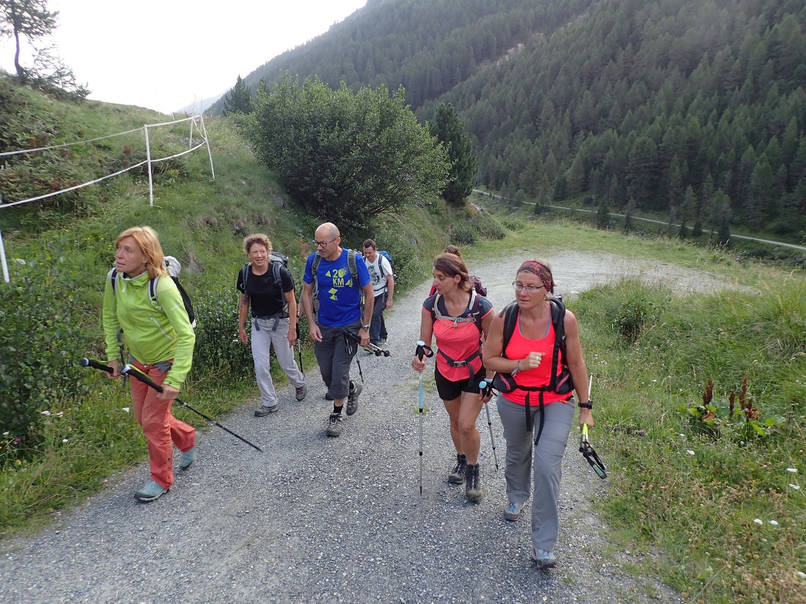 Ussers Barrhorn: Voie normale; versant Ouest et Arête Sud 1/2