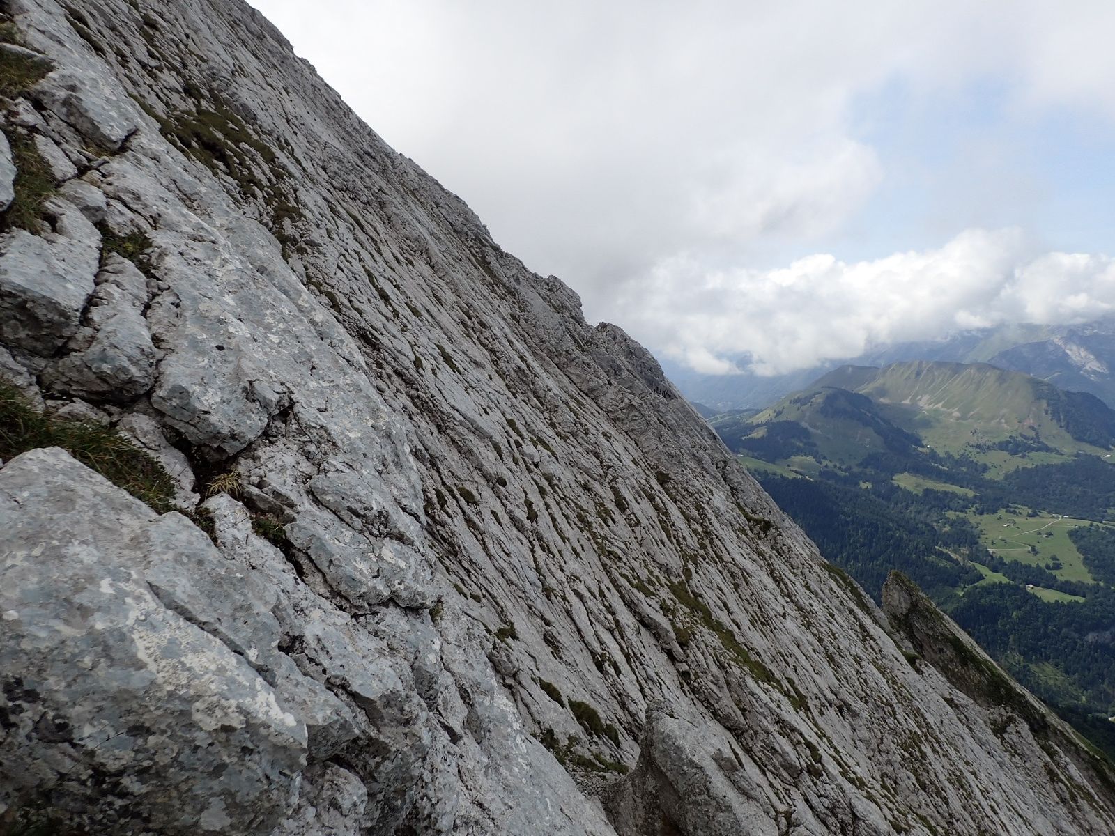 L'Etale: Des Moutons et des Hommes 2/2