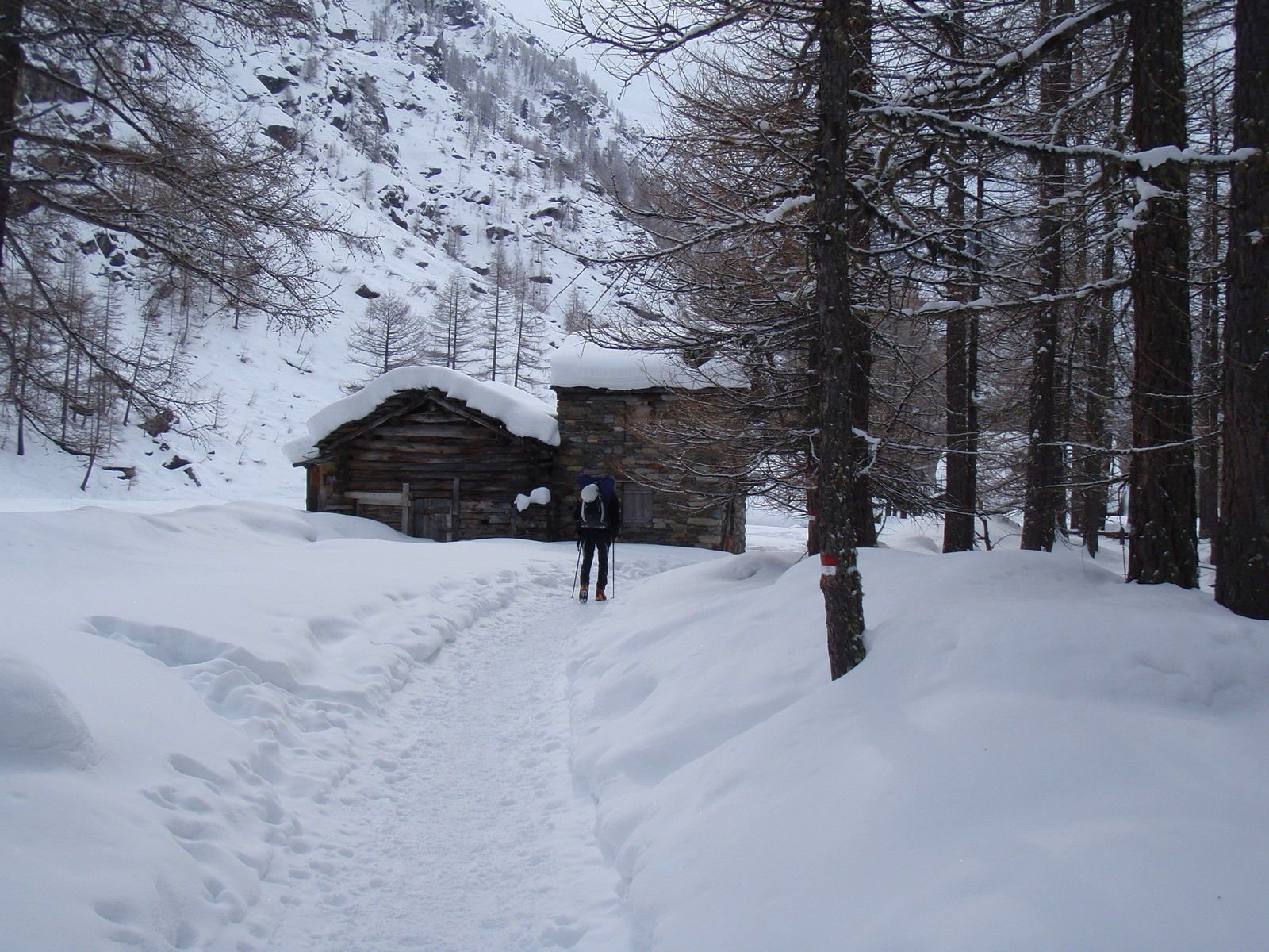 Cogne - Valnontey: Sogno di Patagonia