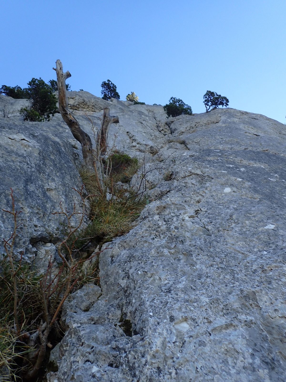 Dent d'Oche: Voie Canicula 1/2