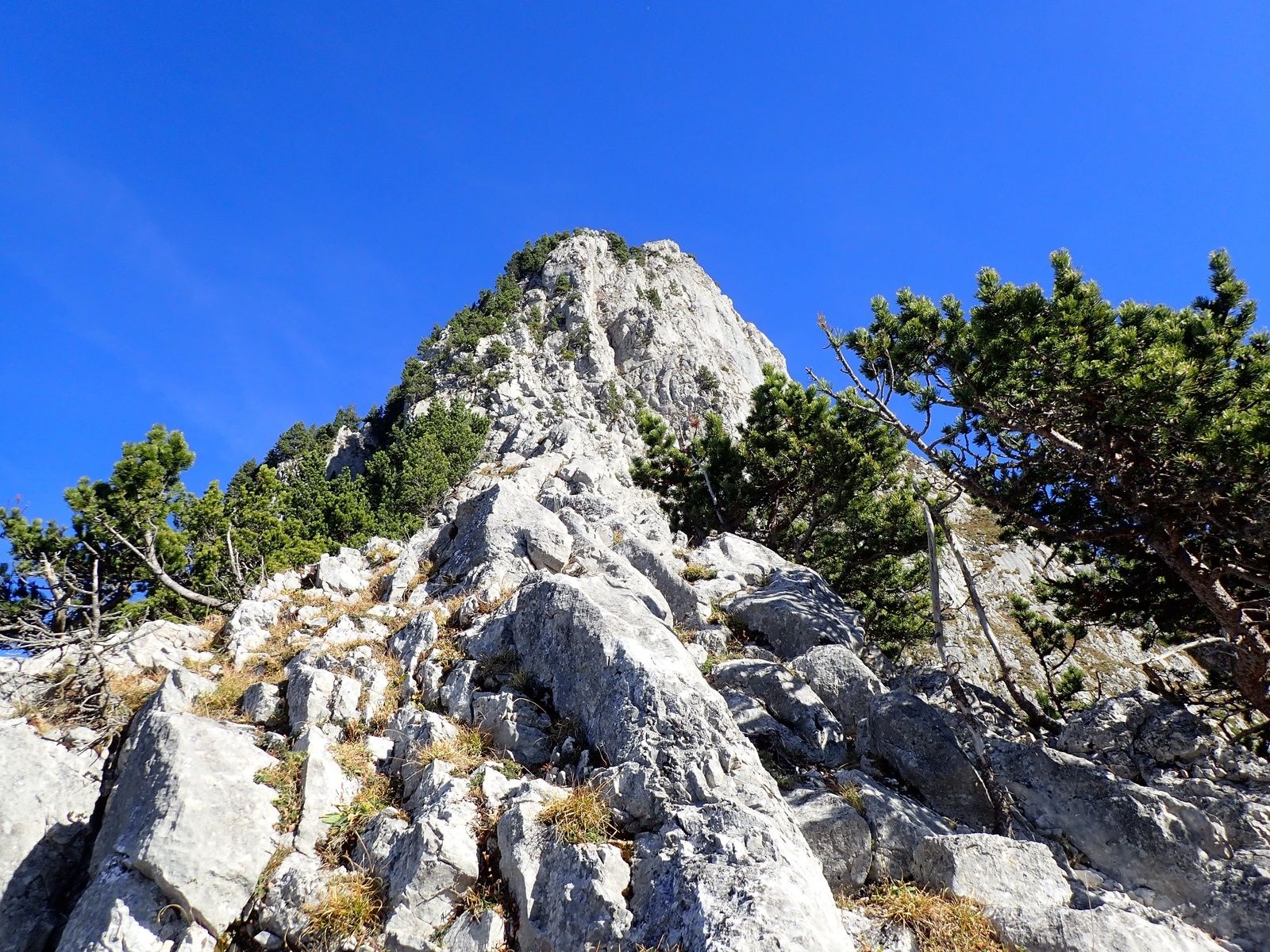 Dent d'Oche: Voie Canicula 1/2