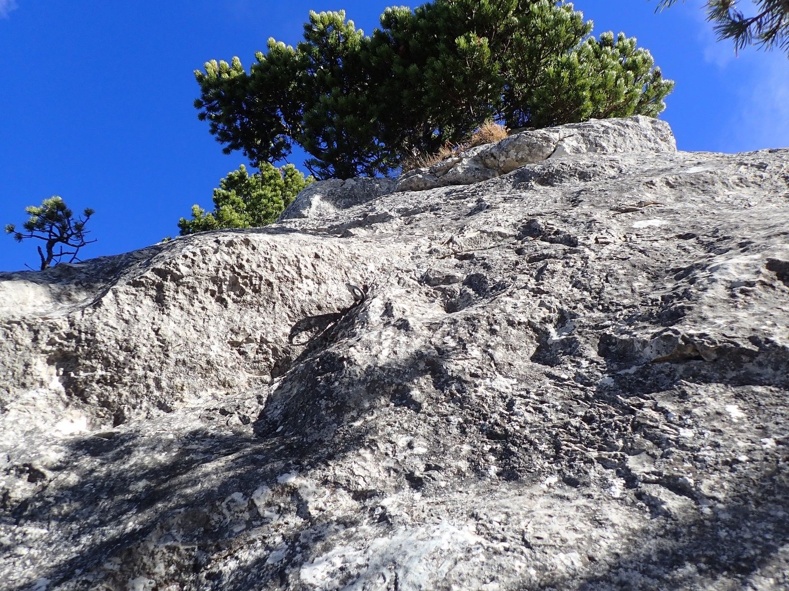 Dent d'Oche: Voie Canicula 1/2