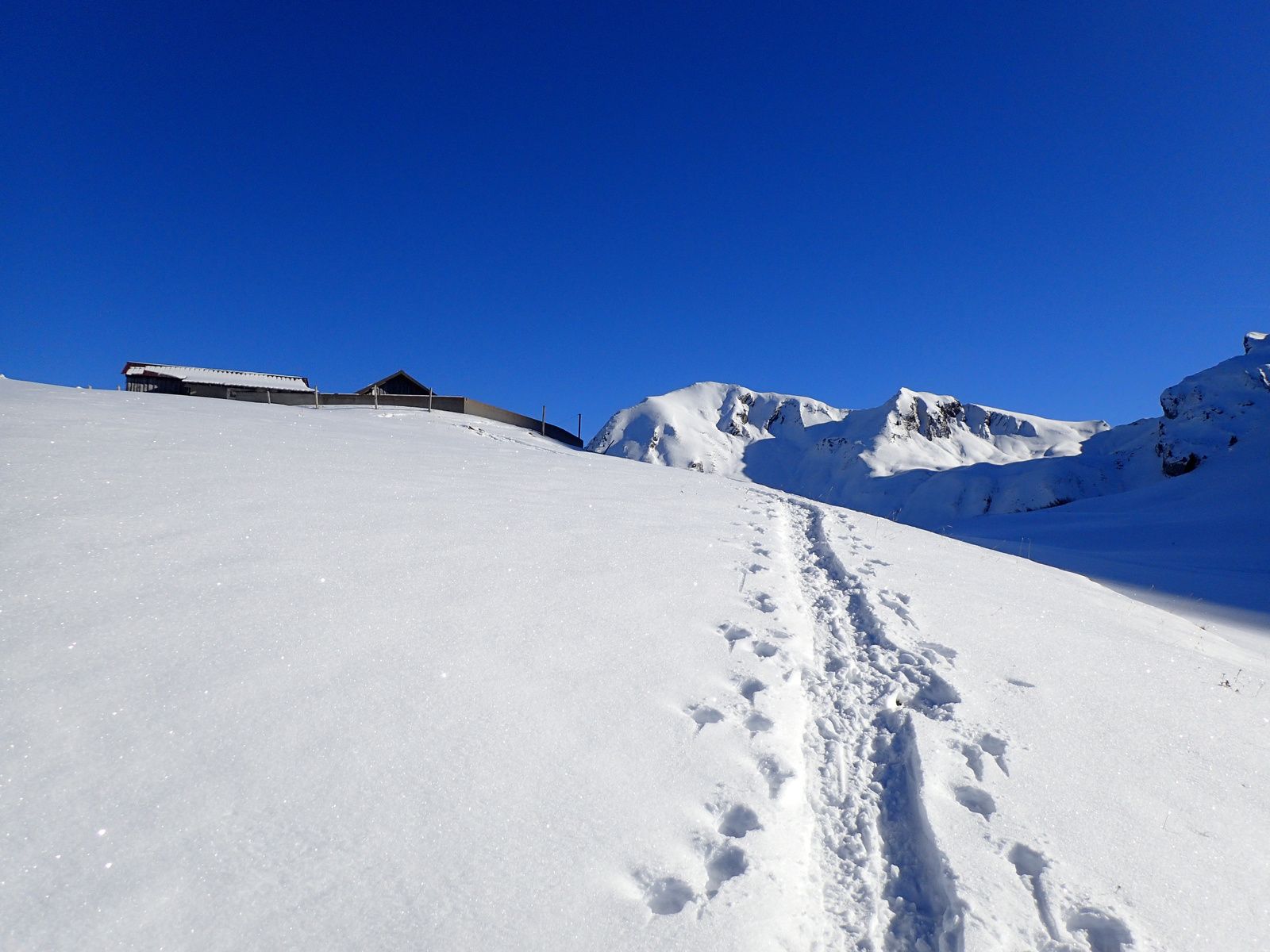 Pointe d'Orsière: Depuis la Savatte