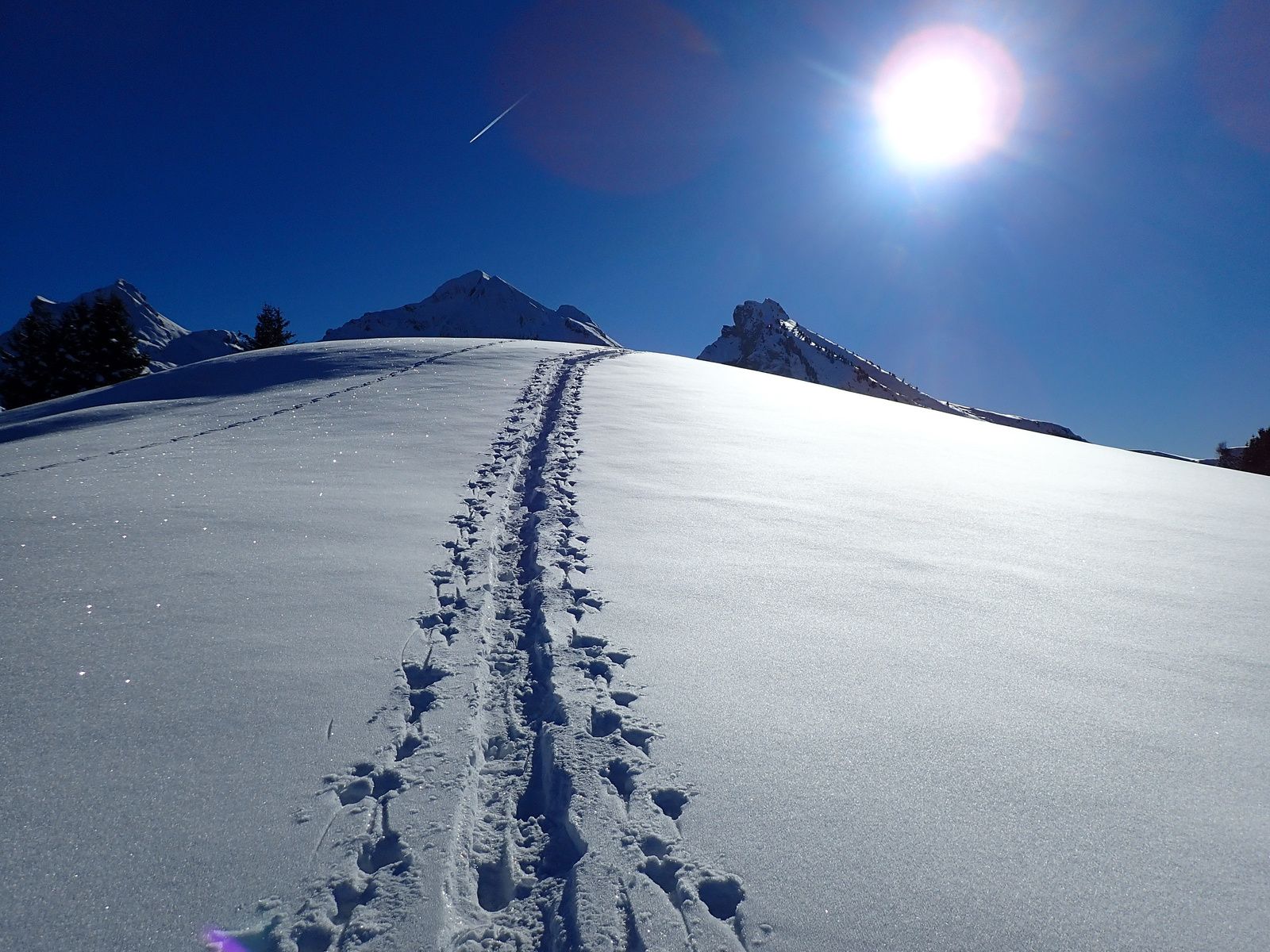 Pointe d'Orsière: Depuis la Savatte
